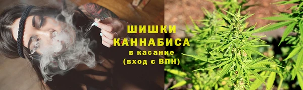 Альфа ПВП Белокуриха