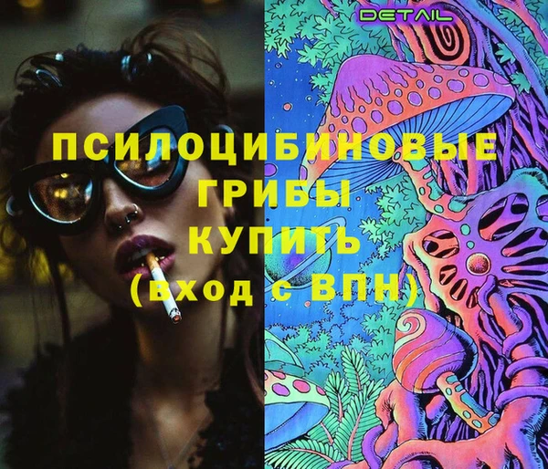 Альфа ПВП Белокуриха