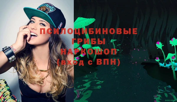 Альфа ПВП Белокуриха